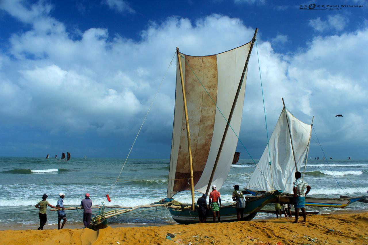 Ann Villa Negombo Exteriör bild